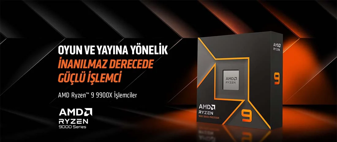 AMD Ryzen 9 9900X